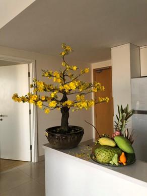 Apartment for rent D2142169 (10)